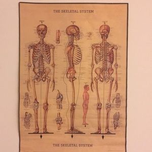 Meet your Posher, Dilek